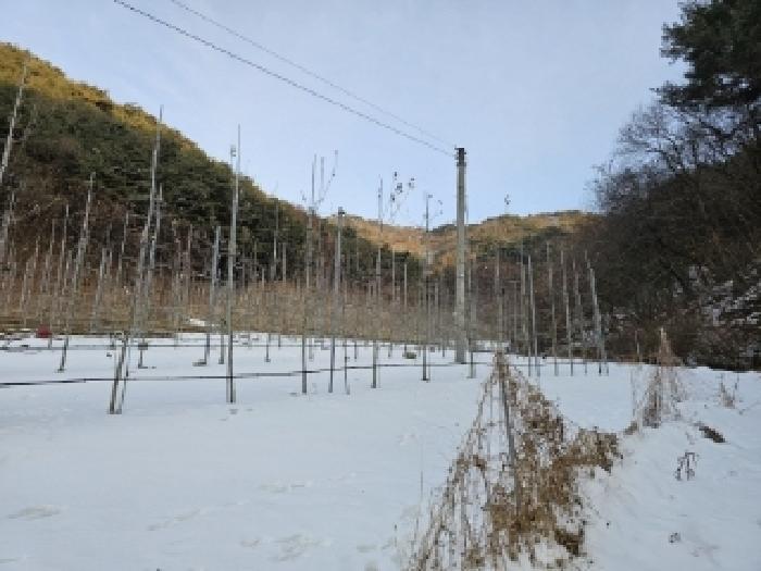 경상북도 봉화군 물야면 개단리 110 전 경매 사진 14