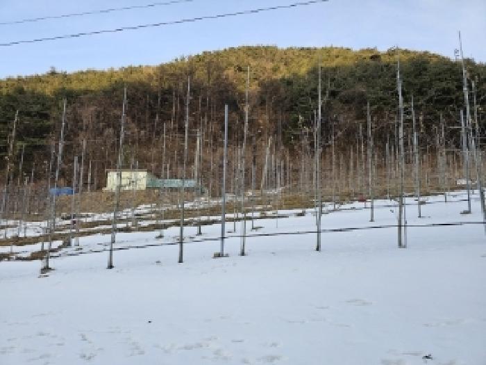 경상북도 봉화군 물야면 개단리 110 전 경매 사진 15
