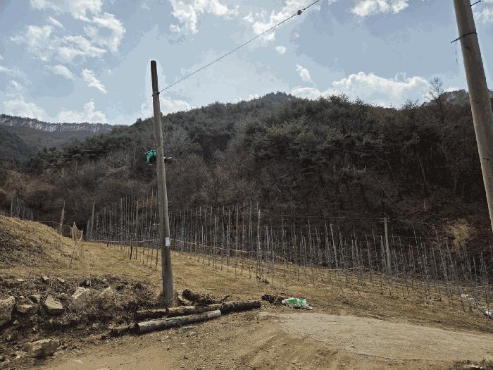 경상북도 봉화군 물야면 개단리 110 전 경매 사진 2