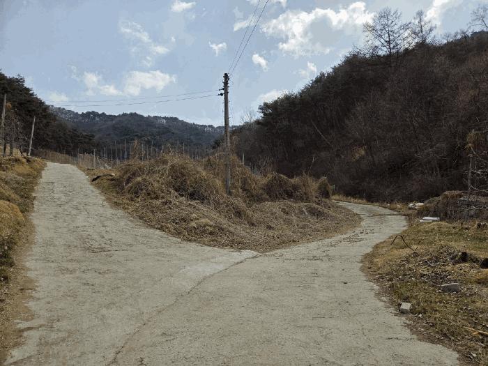 경상북도 봉화군 물야면 개단리 110 전 경매 사진 3
