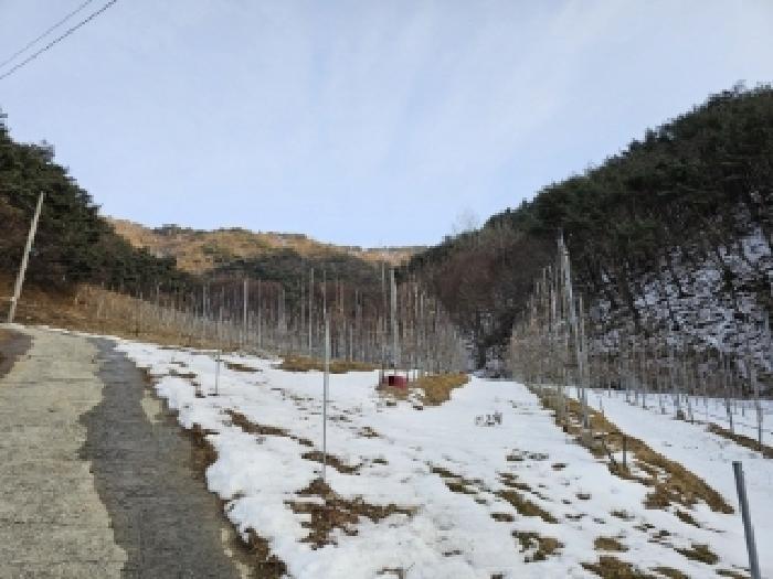 경상북도 봉화군 물야면 개단리 110 전 경매 사진 7