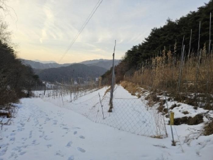 경상북도 봉화군 물야면 개단리 110 전 경매 사진 8