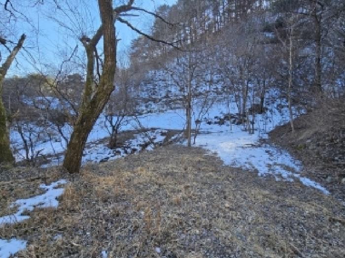 경상북도 봉화군 소천면 분천리 696 답 경매 사진 19
