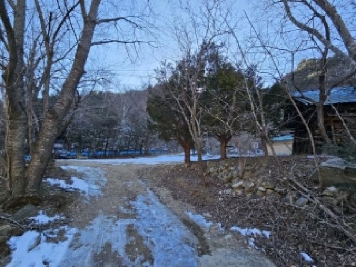 경상북도 봉화군 소천면 분천리 696 답 경매 사진 21