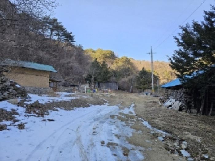 경상북도 봉화군 소천면 분천리 696 답 경매 사진 26