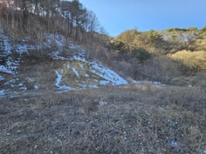 경상북도 봉화군 소천면 분천리 696 답 경매 사진 28