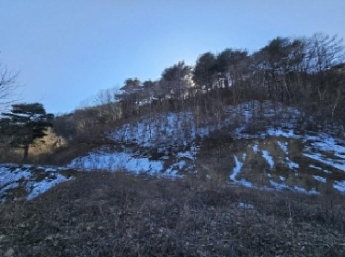 경상북도 봉화군 소천면 분천리 696 답 경매 사진 29
