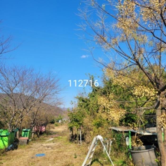 부산광역시 기장군 철마면 임기리 968-6 답 경매 사진 16