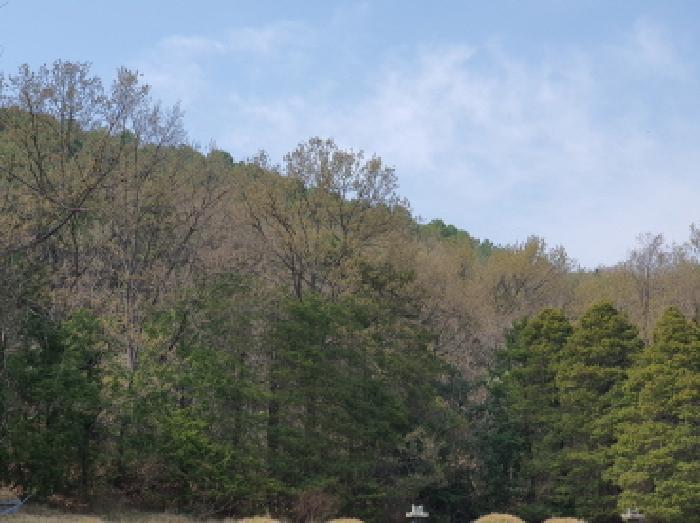 전라남도 강진군 도암면 학장리 산184 임야 경매 사진 7