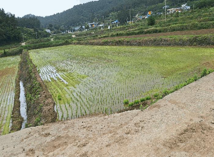 전라남도 강진군 마량면 원포리 산67 임야 경매 사진 2