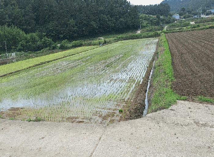 전라남도 강진군 마량면 원포리 산67 임야 경매 사진 4