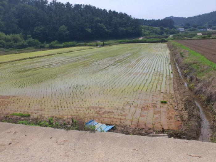 전라남도 강진군 마량면 원포리 505-6 답 경매 사진 7