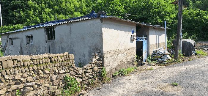 전라남도 장흥군 장평면 용강리 255 대지 경매 사진 11