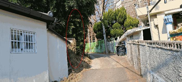부산광역시 기장군 장안읍 좌천리 390 전 경매 사진 2