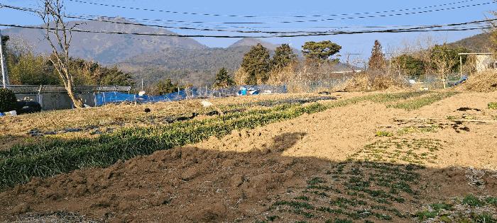 부산광역시 기장군 장안읍 좌천리 390 전 경매 사진 4