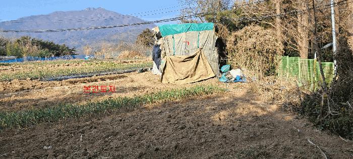 부산광역시 기장군 장안읍 좌천리 390 전 경매 사진 5