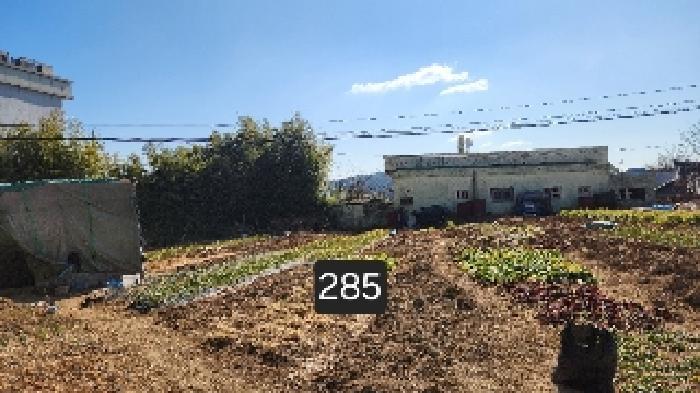 부산광역시 기장군 장안읍 좌천리 390 전 경매 사진 9