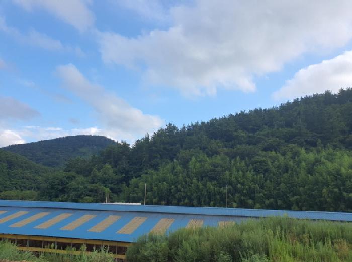 전라남도 강진군 마량면 영동리 산119 임야 경매 사진 7