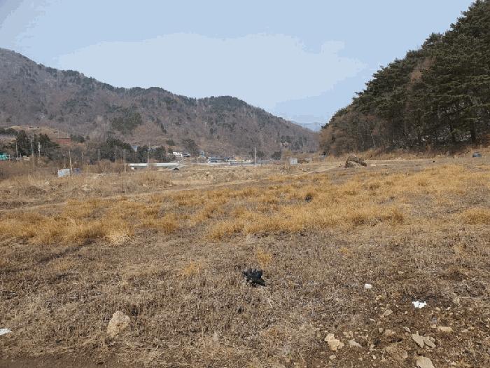 전북특별자치도 무주군 설천면 심곡리 415 답 경매 사진 3