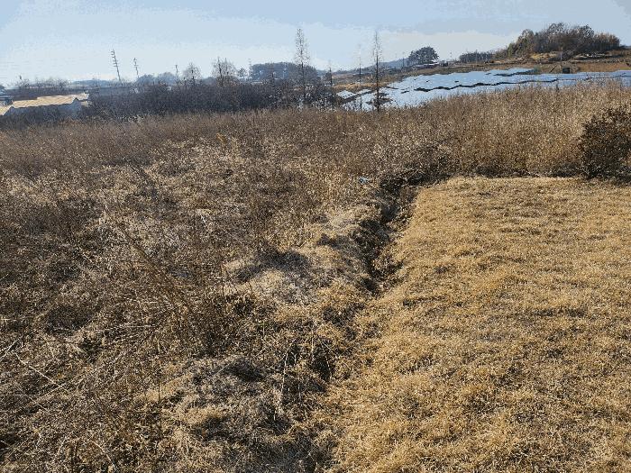 전북특별자치도 김제시 백산면 상정리 373-7 전 경매 사진 10
