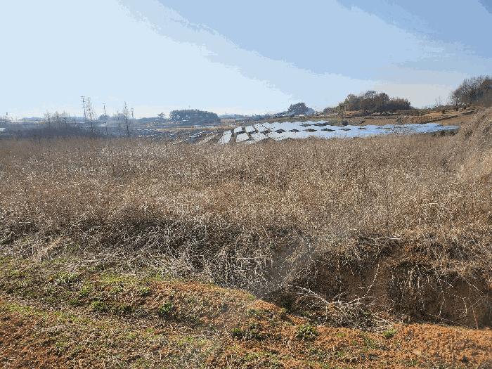 전북특별자치도 김제시 백산면 상정리 373-7 전 경매 사진 11