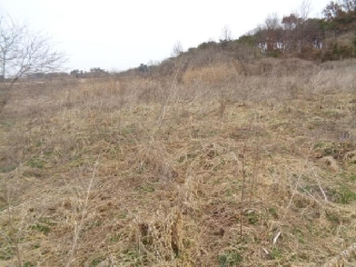 전북특별자치도 김제시 백산면 상정리 373-7 전 경매 사진 19