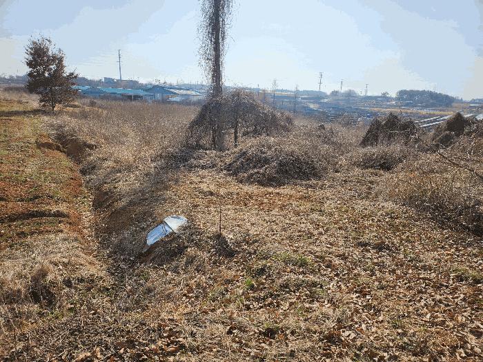 전북특별자치도 김제시 백산면 상정리 373-7 전 경매 사진 5