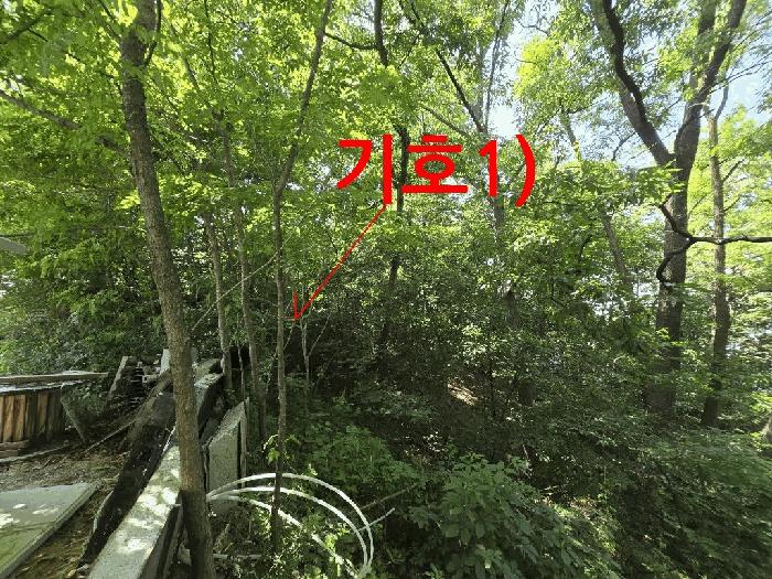 전북 전주시 완산구 임야