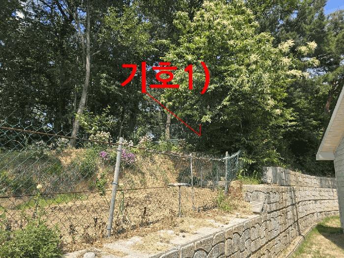 전북특별자치도 전주시 완산구 상림동 산185 임야 경매 사진 2