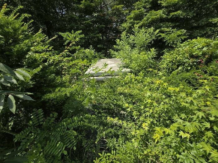 전북특별자치도 전주시 완산구 상림동 산185 임야 경매 사진 3