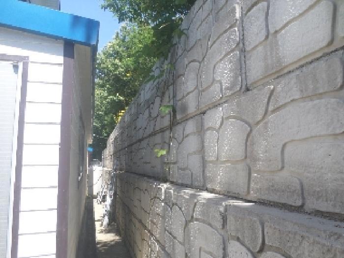 전북특별자치도 전주시 완산구 상림동 산185 임야 경매 사진 9