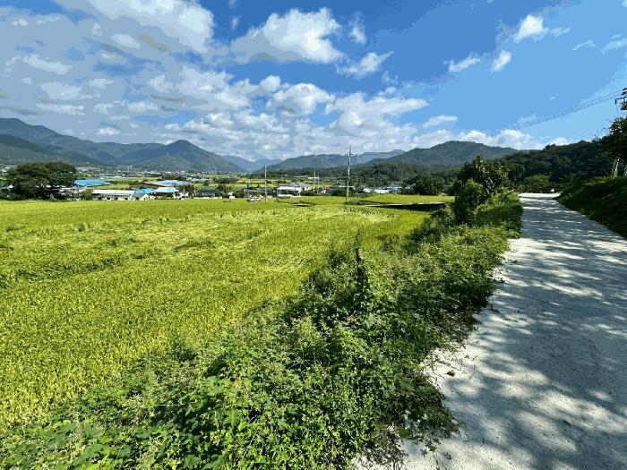 경상북도 포항시 답