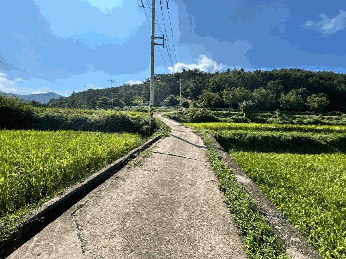 경상북도 포항시 북구 기북면 대곡리 527-2 답 경매 사진 2