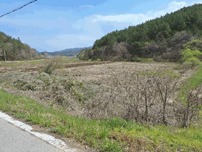 전라남도 장흥군 장동면 북교리 451 임야 경매 사진 14