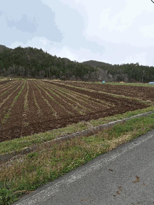 전라남도 장흥군 장동면 북교리 451 임야 경매 사진 6