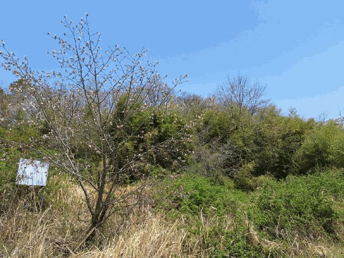 전라남도 장흥군 장동면 북교리 483 답 경매 사진 10