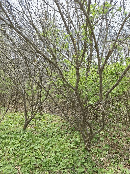 전라남도 장흥군 장동면 북교리 808-4 답 경매 사진 15