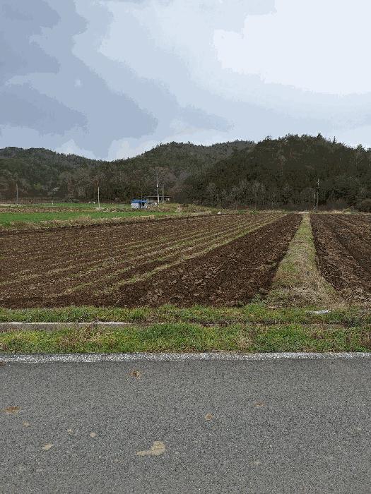 전라남도 장흥군 장동면 북교리 813-9 답 경매 사진 16