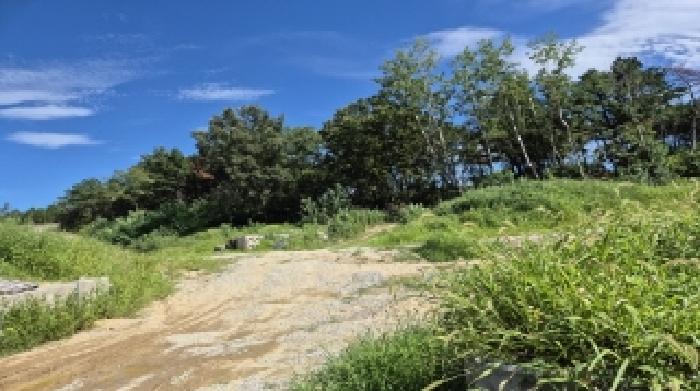 경상북도 포항시 북구 청하면 미남리 145-30 임야 경매 사진 13