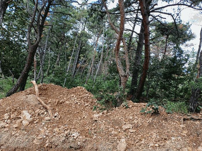 경상북도 포항시 북구 청하면 미남리 145-30 임야 경매 사진 5