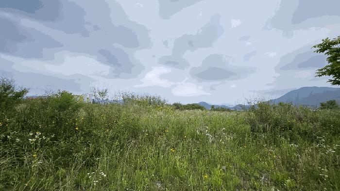 전라남도 강진군 성전면 명산리 1487-4 공장용지 경매 사진 1