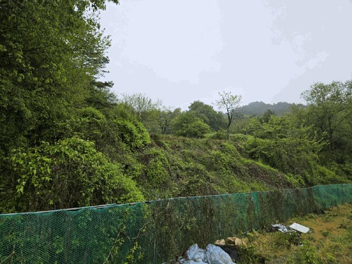 전북특별자치도 남원시 아영면 구상리 487-1 대지 경매 사진 4