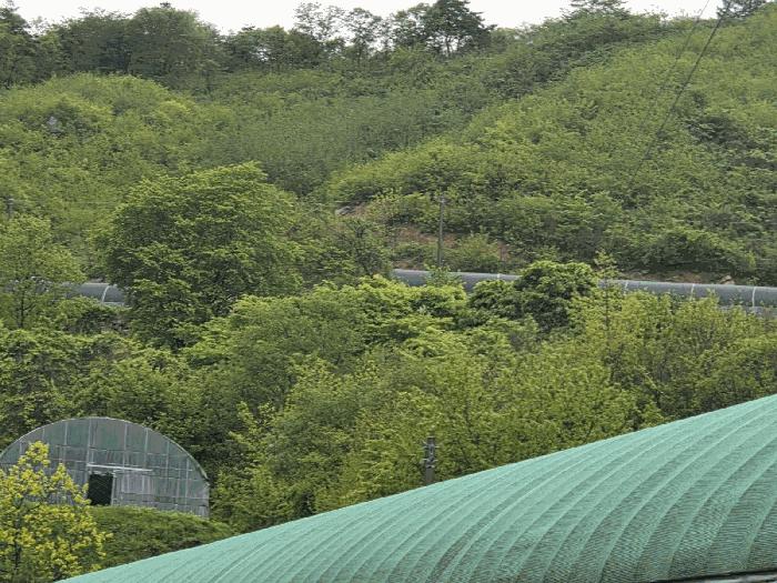 전북특별자치도 남원시 아영면 구상리 산41-2 임야 경매 사진 18