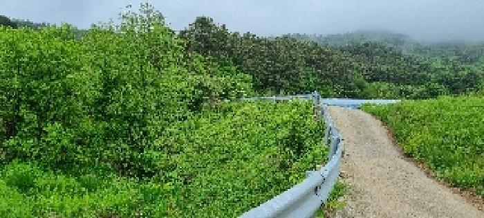 전북특별자치도 남원시 아영면 구상리 655-1 답 경매 사진 19