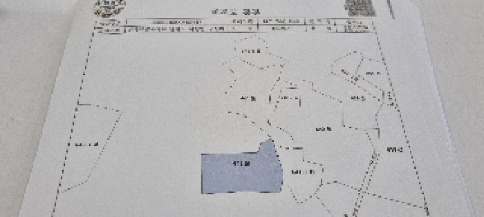 전북특별자치도 남원시 아영면 구상리 384-6 답 경매 사진 43