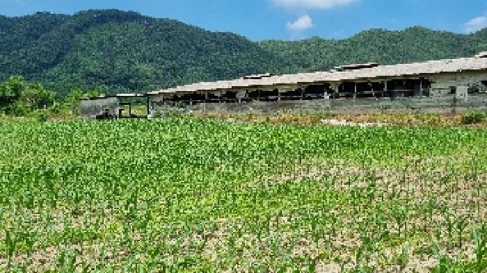 전북특별자치도 장수군 계남면 신전리 623 전 경매 사진 14