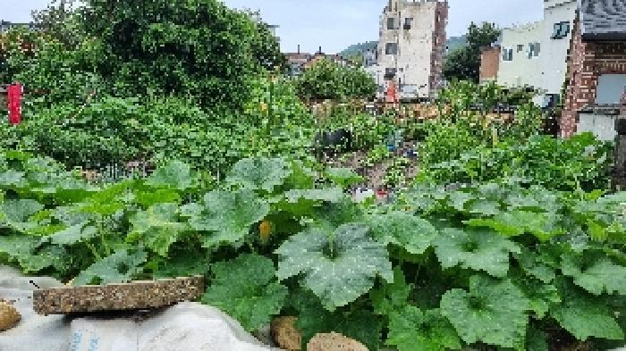 전북특별자치도 남원시 쌍교동 31 대지 경매 사진 5