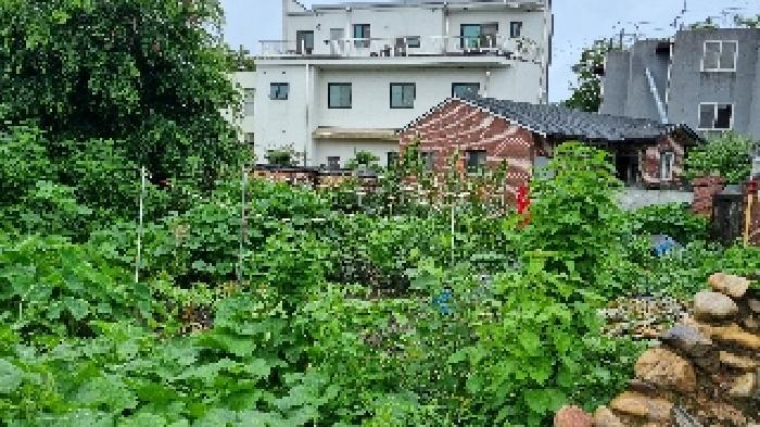 전북특별자치도 남원시 쌍교동 31 대지 경매 사진 6