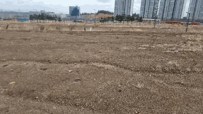 경상북도 포항시 북구 흥해읍 대련리 1249 대지 경매 사진 6