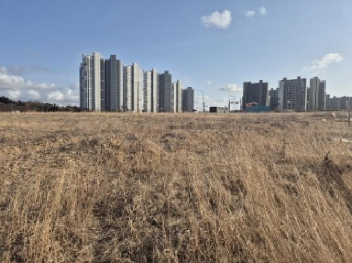 경상북도 포항시 북구 흥해읍 대련리 1249 대지 경매 사진 8